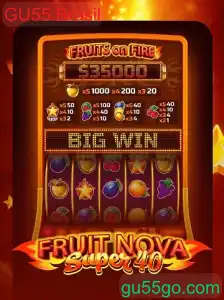 FruitNovaSuper40